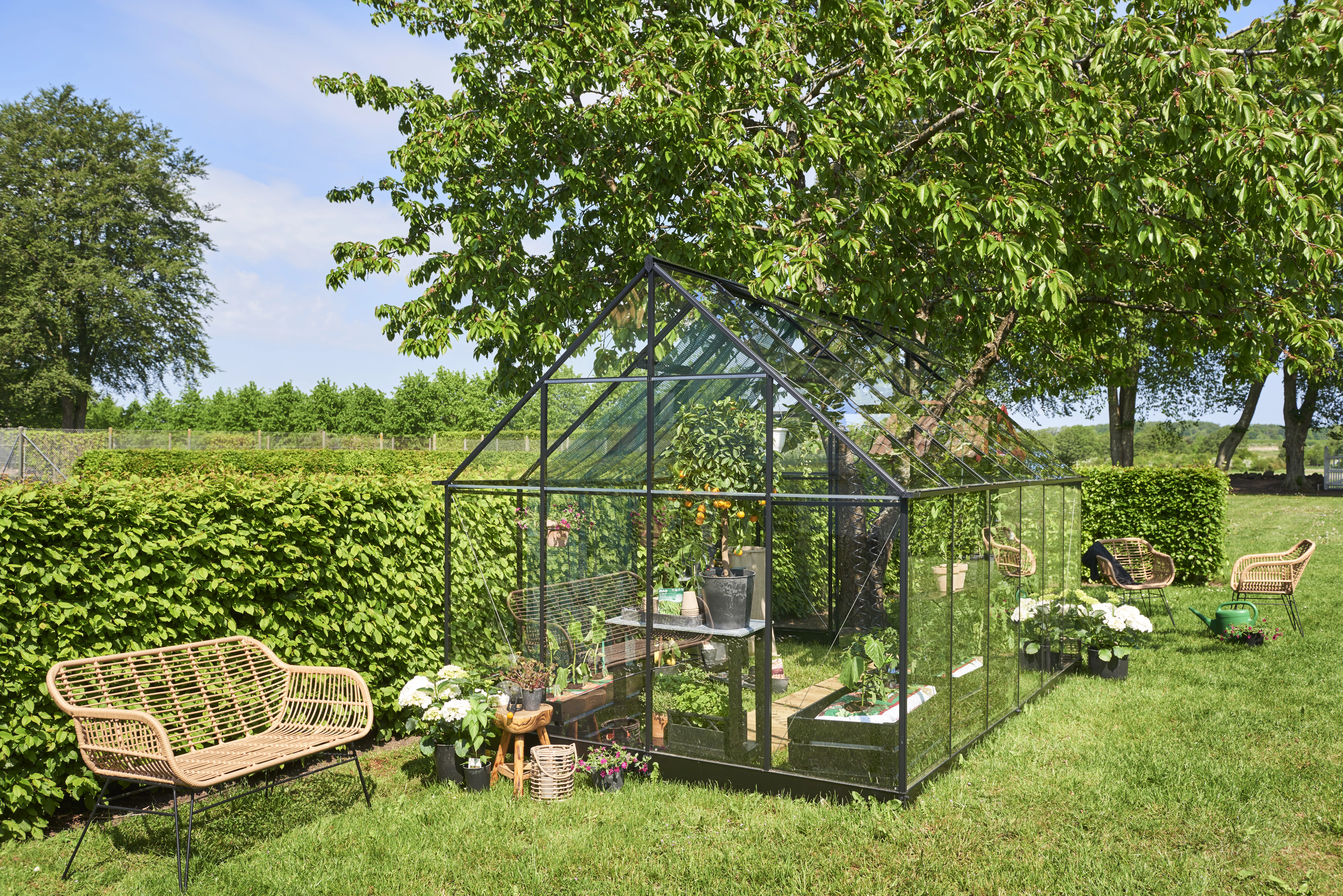 Royal Well Tuinkas Qube 812 Veiligheidsglas Zwart - Afbeelding 7